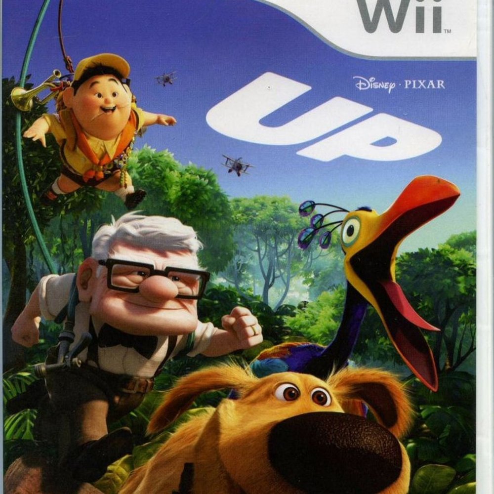 UP Wii Game